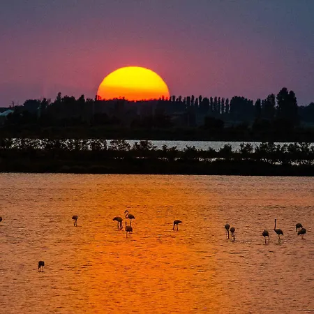 In 49215 Rosolina Mare